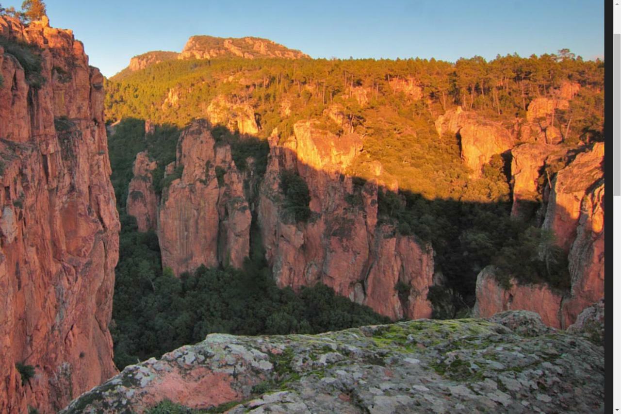 Entre Mer et Estérel Roquebrune-sur Argens Extérieur photo
